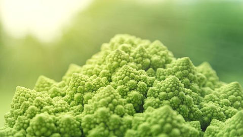 Veganuary: What We’ve Learnt So Far