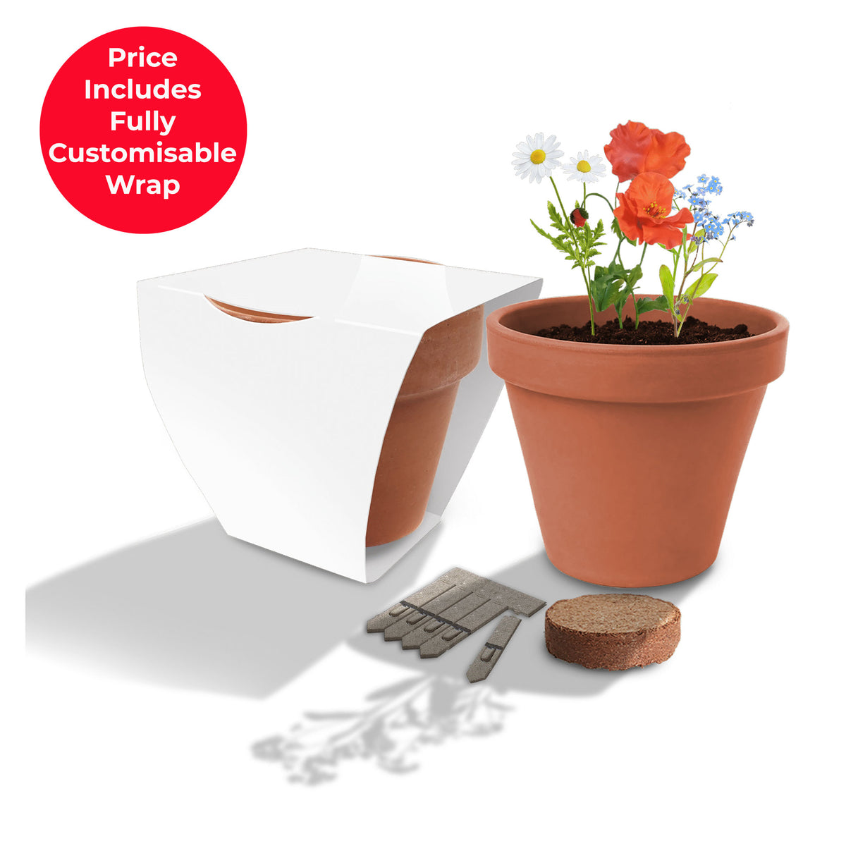 Small Clay Pot Garden