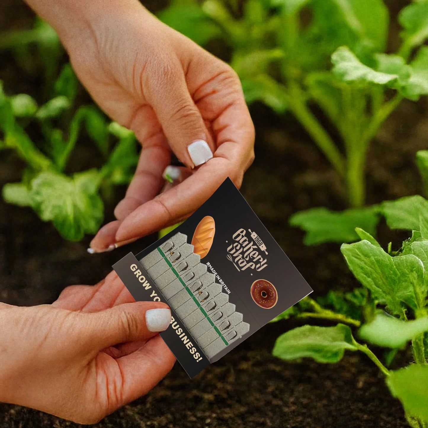 Seed Sticks® - Medium