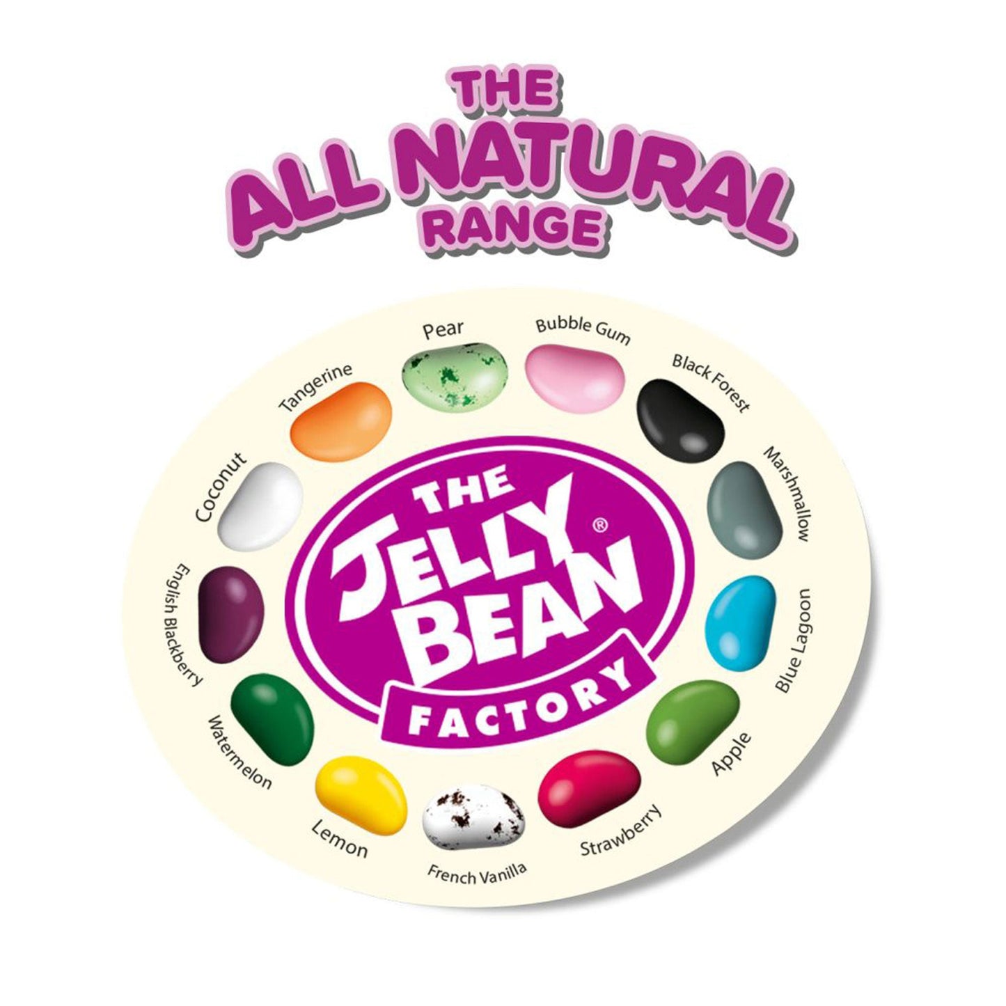 Jelly Bean Factory® Eco Maxi Box Confectionery The Ethical Gift Box (DEV SITE)