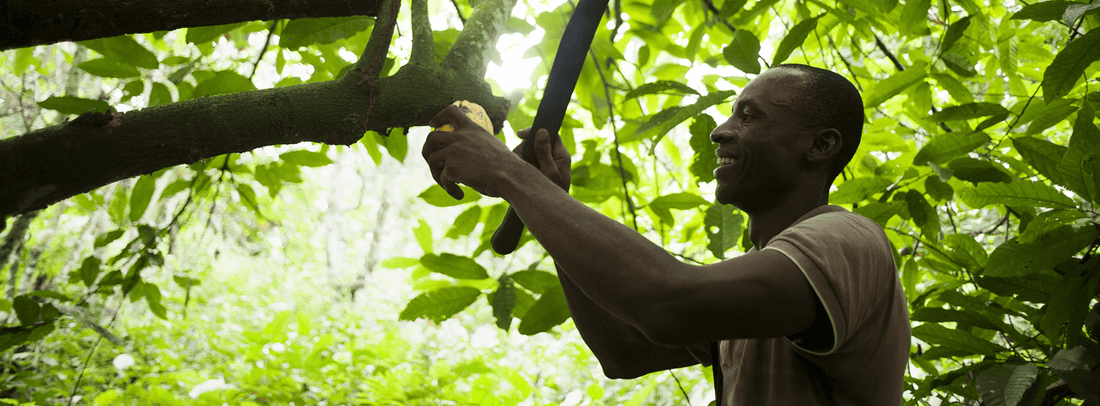 Fair Trade Fortnight