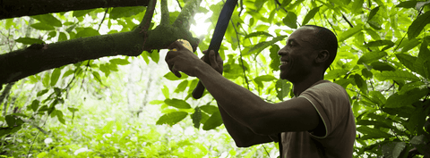 Fair Trade Fortnight
