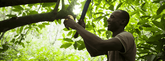 Fair Trade Fortnight