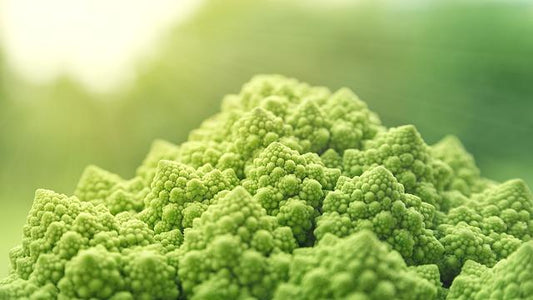 Veganuary: What We’ve Learnt So Far