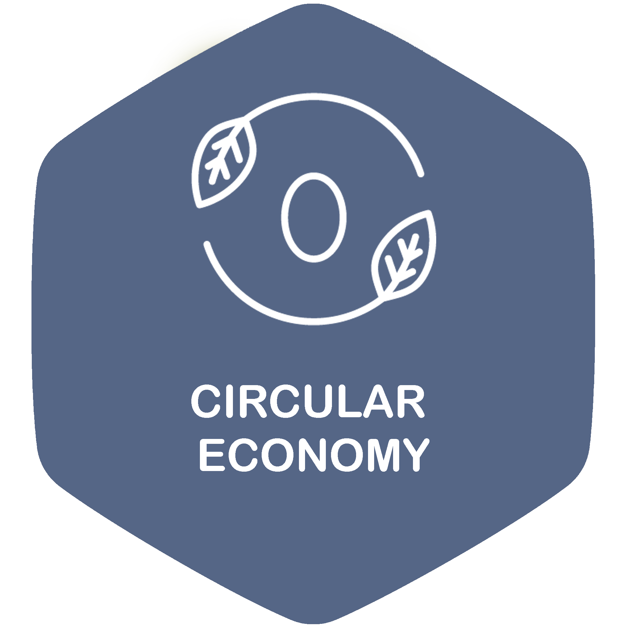 Circular Economy