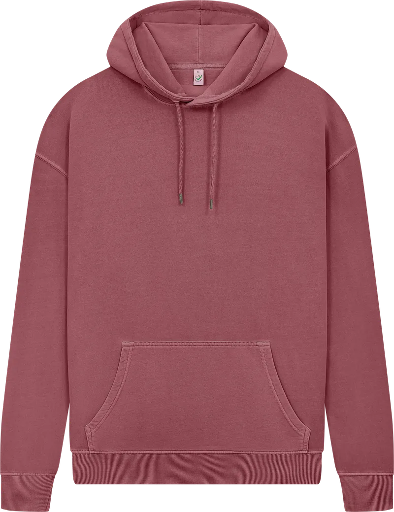 Earth Positive® Pullover Hoodie