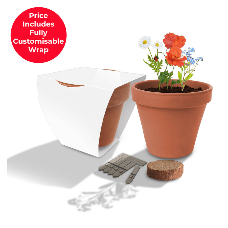 Small Clay Pot Garden