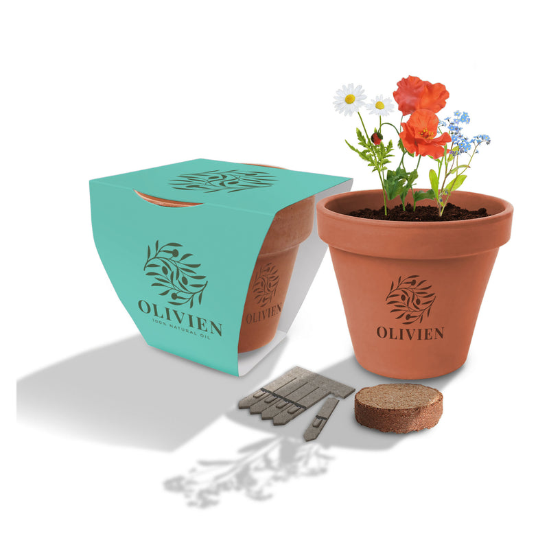 Small Clay Pot Garden