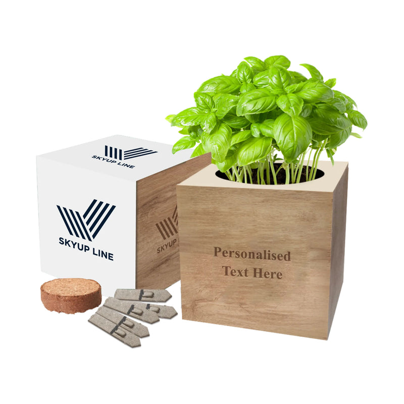 Essentials Desktop Cube Garden