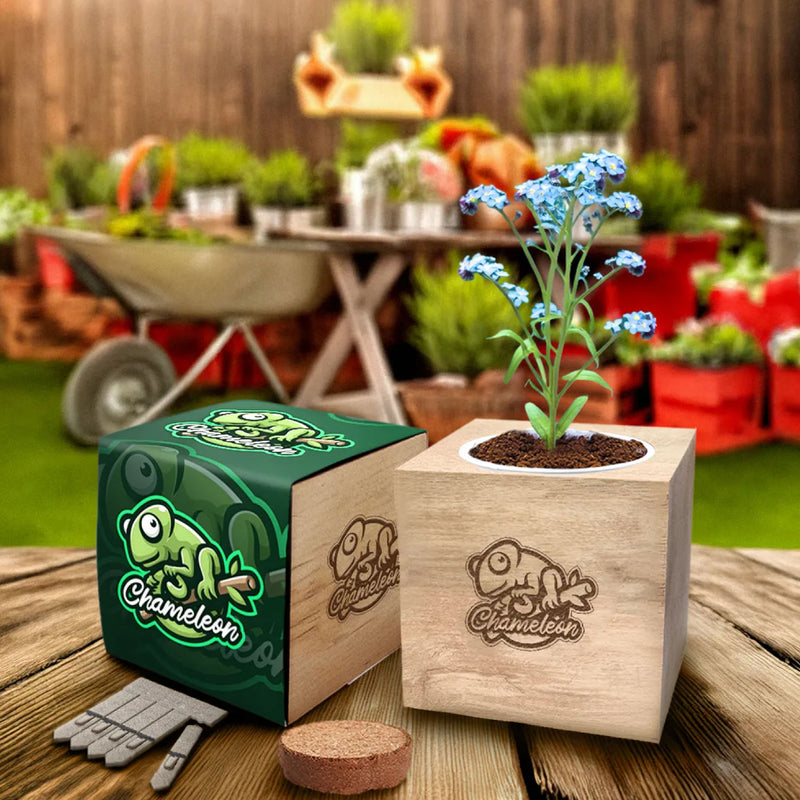 Essentials Desktop Cube Garden