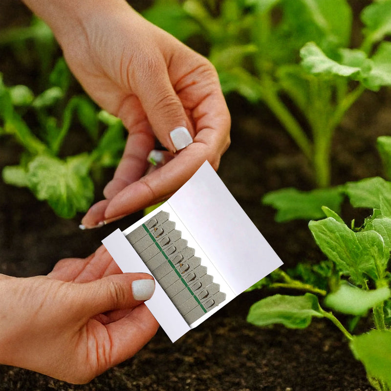 Seed Sticks® - Medium