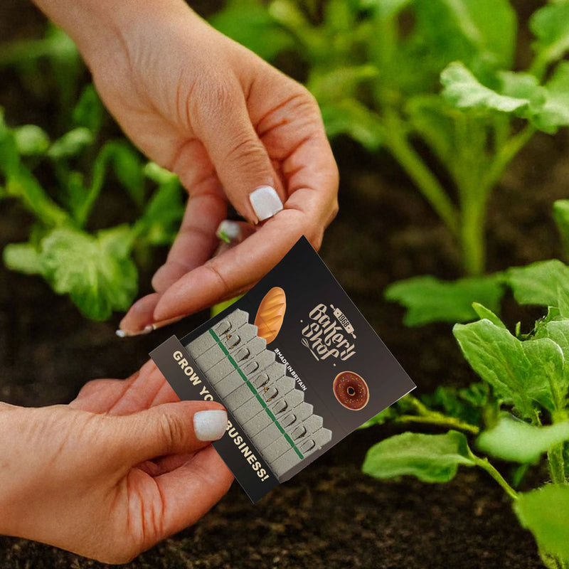 Seed Sticks® - Medium