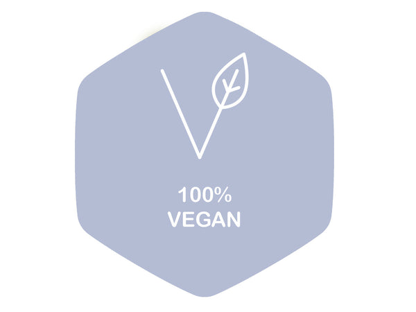 Vegan Corporate Gifts