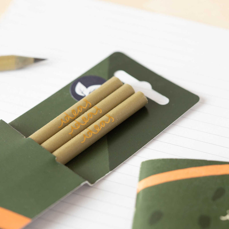 Recycled Gold Pencils in Green Ideas Sleeve  Vent For Change   