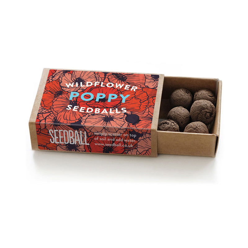 Seedball Matchbox Promotional The Ethical Gift Box (DEV SITE)   