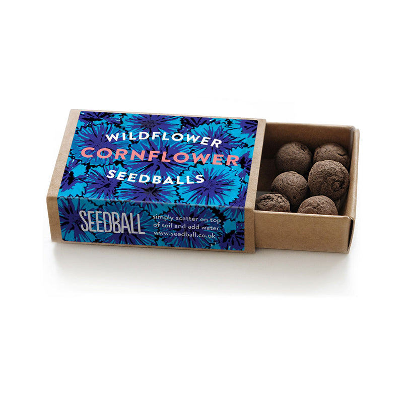 Seedball Matchbox Promotional The Ethical Gift Box (DEV SITE)   