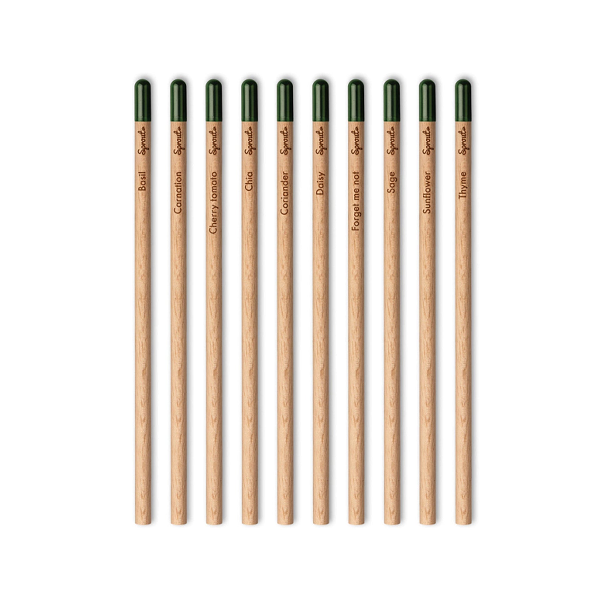 Plantable Sprout Pencil Promotional The Ethical Gift Box (DEV SITE)   