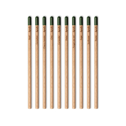 Plantable Sprout Pencil Promotional The Ethical Gift Box (DEV SITE)   