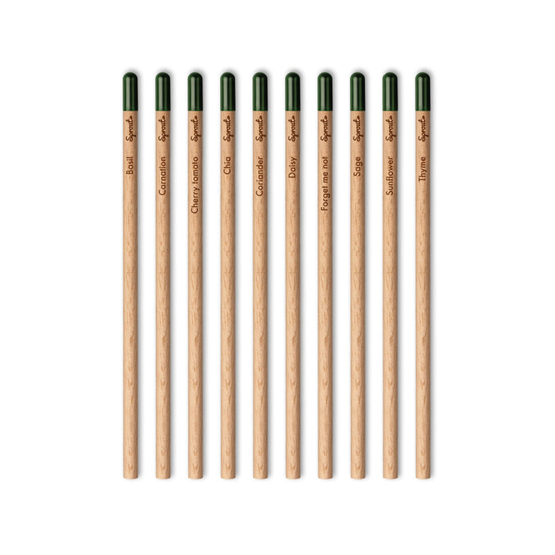 Plantable Sprout Pencil Promotional The Ethical Gift Box (DEV SITE)   
