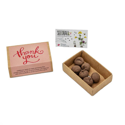 Seedball - Thankyou Seeds Promotional The Ethical Gift Box (DEV SITE)   