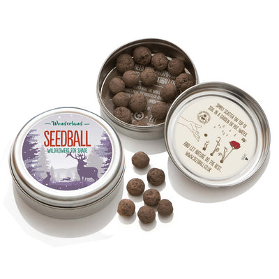 Seedball - Wonderland Grab & Go Seedball   
