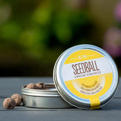 Seedball - Bee Mix Grab & Go Seedball   