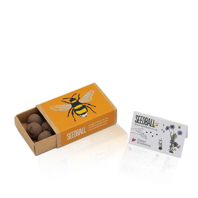 Wildflowers for Bees Seed Box Grab & Go Seedball   